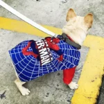 frenchie space shop super frenchie costume