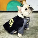 frenchie space shop super frenchie costume