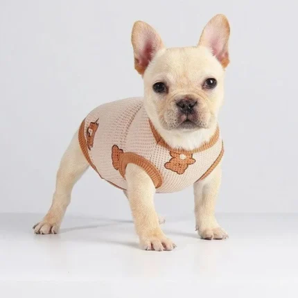 frenchie space shop teddy french bulldog vest