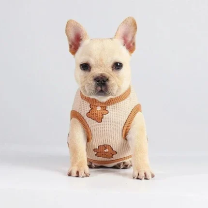 frenchie space shop teddy french bulldog vest