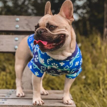 frenchie space shop tie-dye french bulldog sweatshirt
