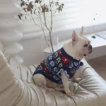 frenchie space shop traditionalvibes french bulldog sweater