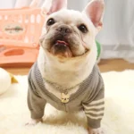 frenchie space shop warmtouch french bulldog sweater