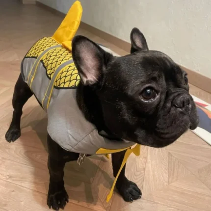 frenchie space shop waverider frenchie life vest
