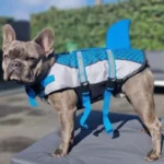 frenchie space shop waverider frenchie life vest
