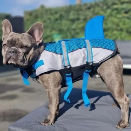frenchie space shop waverider frenchie life vest