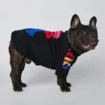 frenchie space shop woof french bulldog sweater