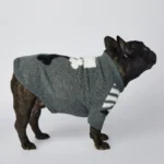 frenchie space shop woof french bulldog sweater
