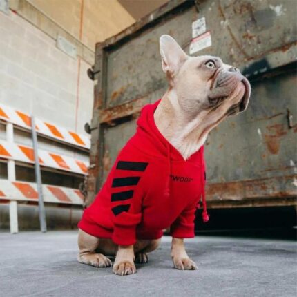 frenchie space shop woofy french bulldog hoodie