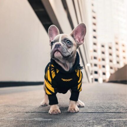 frenchie space shop woofywoof french bulldog hoodie