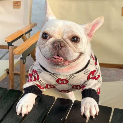 frenchie space shop woolytouch french bulldog sweater