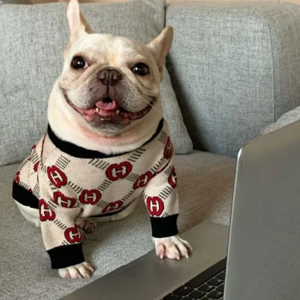 frenchie space shop woolytouch french bulldog sweater