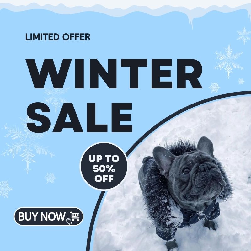 frenchie-space-shop-banner frenchie space shop banner