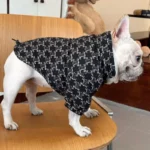 frenchie space shop basic black frenchie jacket