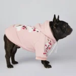 frenchie space shop bloom french bulldog hoodie