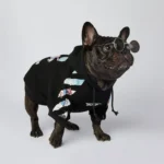 frenchie space shop bloom french bulldog hoodie