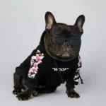 frenchie space shop bloom french bulldog hoodie