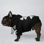 frenchie space shop bloom french bulldog hoodie