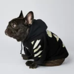 frenchie space shop bloom french bulldog hoodie