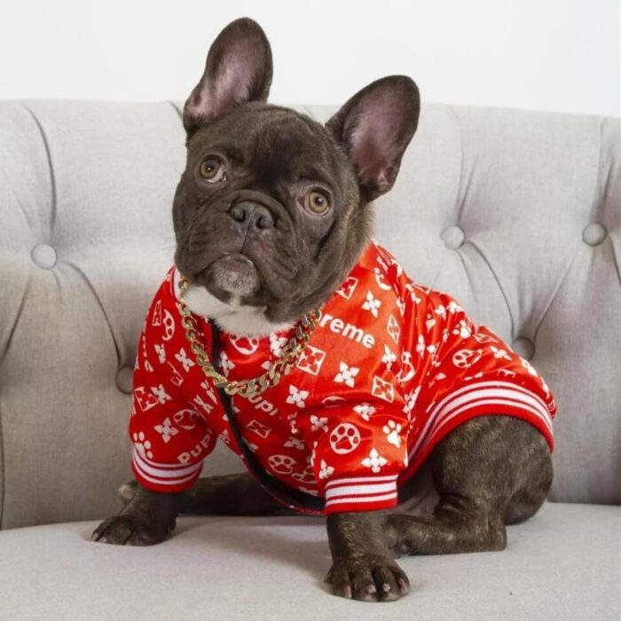 frenchie space shop bomberred frenchie jacket