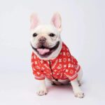 frenchie space shop bomberred frenchie jacket