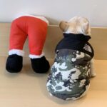 frenchie space shop camo frenchie jacket vest