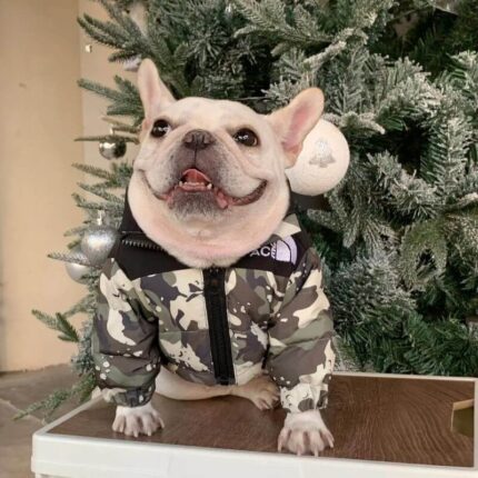 frenchie space shop camo frenchie jacket vest