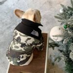 frenchie space shop camo frenchie jacket vest