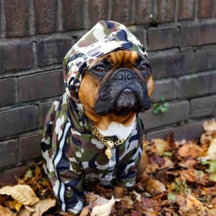 frenchie space shop camo reflective french bulldog jacket