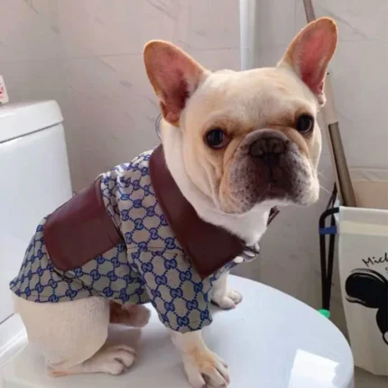 frenchie space shop classic frenchie jacket