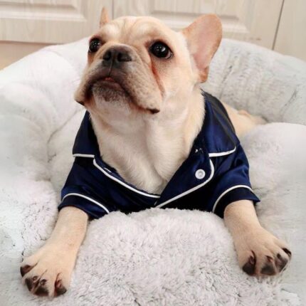 frenchie space shop classy french bulldog pajamas