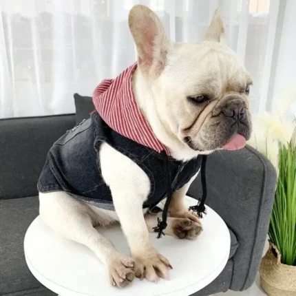 frenchie space shop denim french bulldog vest
