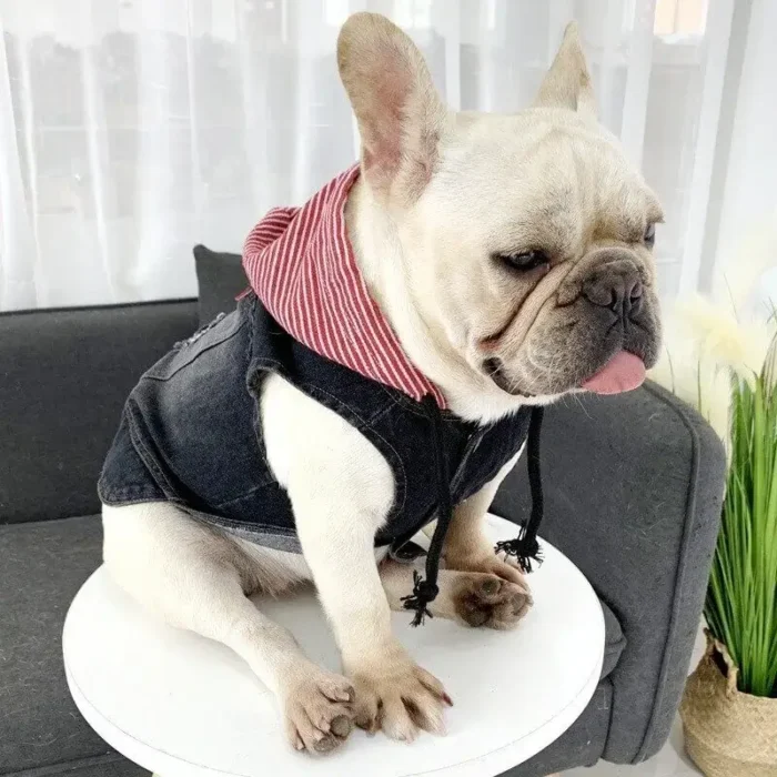 frenchie space shop denim french bulldog vest