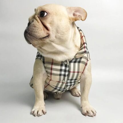 frenchie space shop dogberry french bulldog vest
