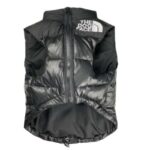 frenchie space shop dogface french bulldog vest