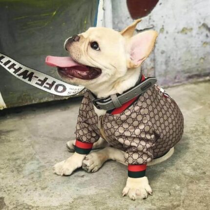 frenchie space shop fashionista pupreme frenchie jacket