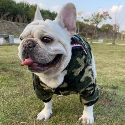 frenchie space shop forest french bulldog jacket