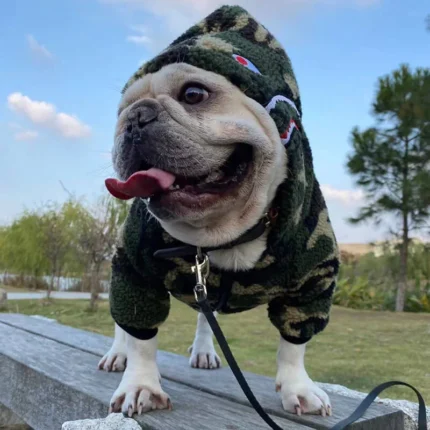 frenchie space shop forest french bulldog jacket