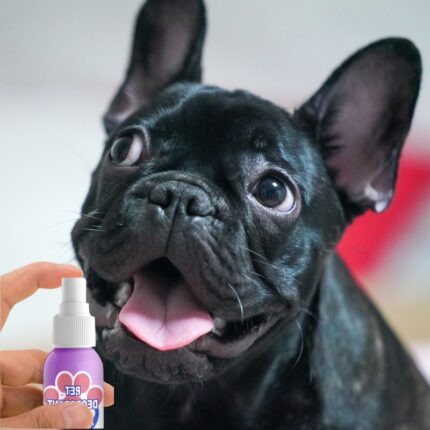 frenchie space shop french bulldog breath spray
