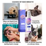 frenchie space shop french bulldog breath spray