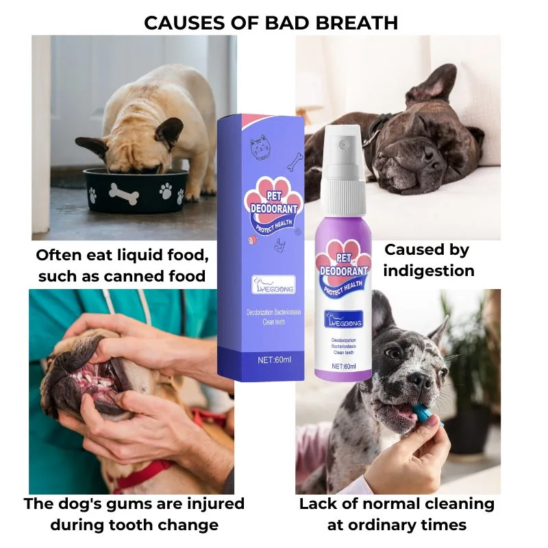 frenchie space shop french bulldog breath spray