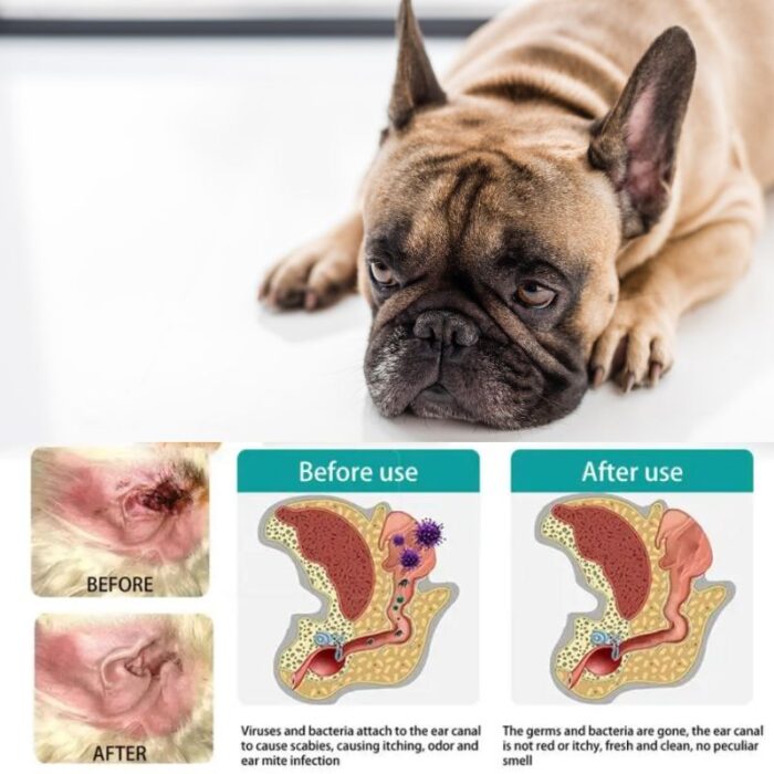 frenchie space shop french bulldog ear wipes
