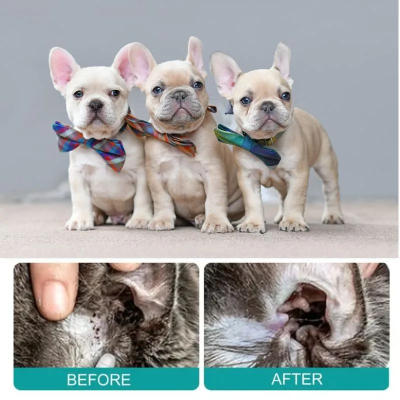 frenchie space shop french bulldog ear wipes