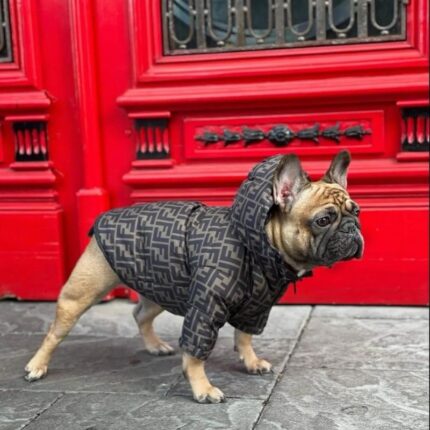 frenchie space shop frendipuffer frenchie jacket