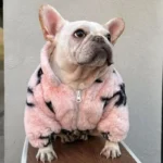 frenchie space shop fur pink french bulldog jacket