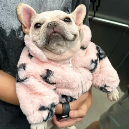 frenchie space shop fur pink french bulldog jacket