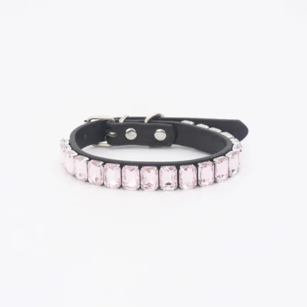 frenchie space shop glamtime french bulldog collar