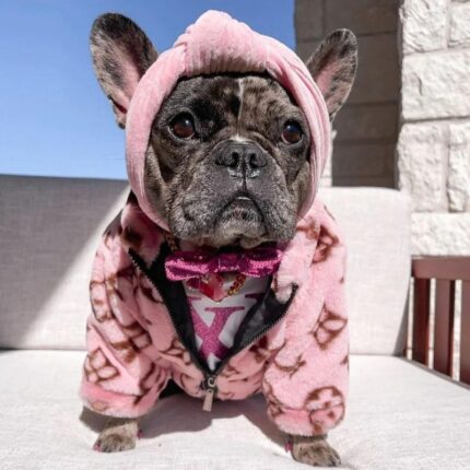 frenchie space shop glamtime french bulldog jacket