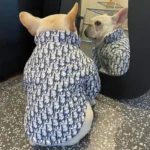 frenchie space shop hautehound french bulldog jacket