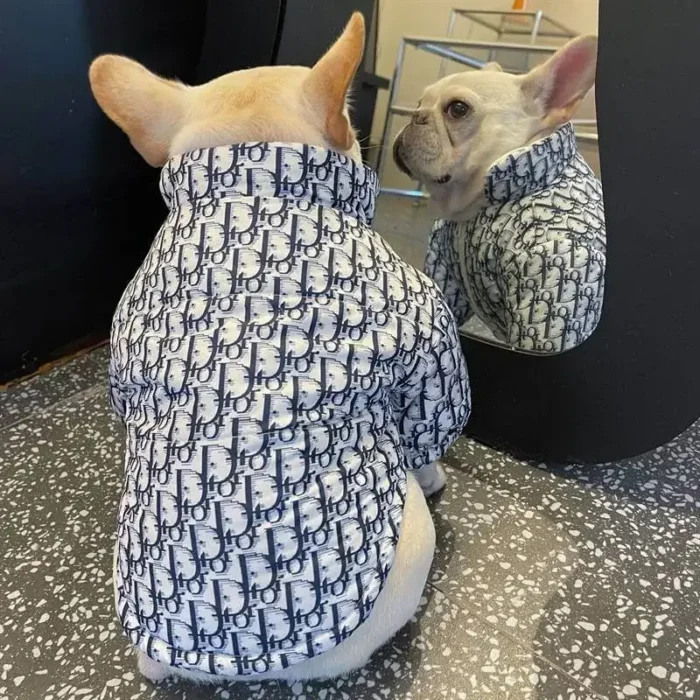 frenchie space shop hautehound french bulldog jacket